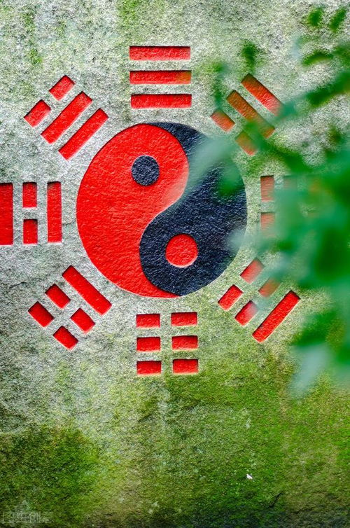 六十四卦起卦方法:六十四卦起卦方法详解,从基础到实战的完整指南 六十四卦起卦方法:六十四卦起卦方法详解,从基础到实战的完整指南