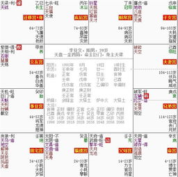 紫微斗数入门基础知识排盘:紫微斗数入门必读,从排盘基础到命盘解读的完整指南 紫微斗数入门基础知识排盘:紫微斗数入门必读,从排盘基础到命盘解读的完整指南