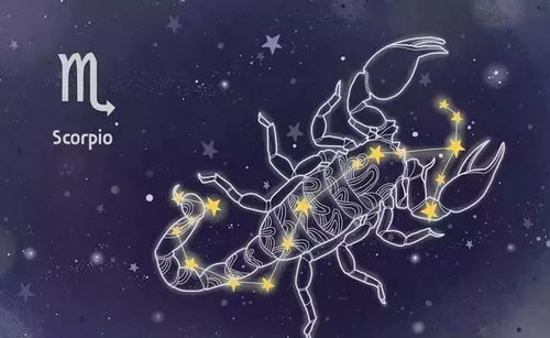 白羊座的星座特点:白羊座的星座特点,火象星座的先锋与挑战者 白羊座的星座特点:白羊座的星座特点,火象星座的先锋与挑战者