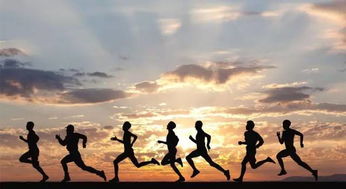 十二星座跑步速度排名:十二星座跑步速度排名,谁才是速度与激情的王者? 十二星座跑步速度排名:十二星座跑步速度排名,谁才是速度与激情的王者?