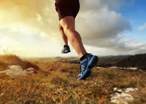 十二星座跑步速度排名:十二星座跑步速度排名,谁才是速度与激情的王者? 十二星座跑步速度排名:十二星座跑步速度排名,谁才是速度与激情的王者?