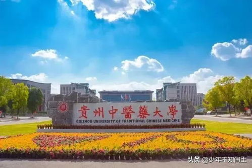 广西最差的二本大学(广西最好二本大学) 广西最差的二本大学(广西最好二本大学)