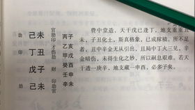 情侣生辰八字算姻缘免费:免费测算情侣生辰八字,精准分析姻缘,提升默契度的科学指南