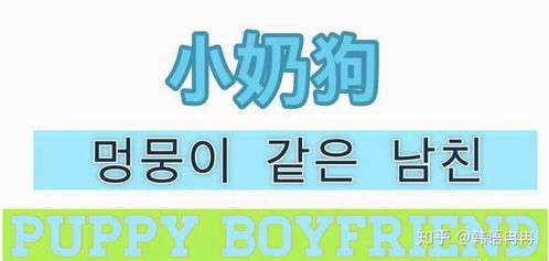 rua奶:rua奶,从网络流行语到生活小确幸的奇妙旅程 rua奶:rua奶,从网络流行语到生活小确幸的奇妙旅程