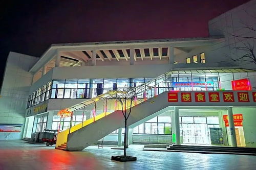 合肥职业技术学院有哪些专业(合肥职业技术学院有哪些专业可以报考) 合肥职业技术学院有哪些专业(合肥职业技术学院有哪些专业可以报考)