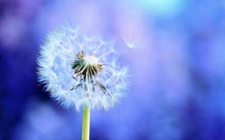 一般人压不住的星座:十二星座中这6个天生的压制不住派!普通人根本hold不住他们的磁场 一般人压不住的星座:十二星座中这6个天生的压制不住派!普通人根本hold不住他们的磁场