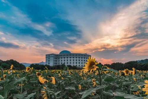 浙江省十大名牌大学(浙江省的知名大学) 浙江省十大名牌大学(浙江省的知名大学)