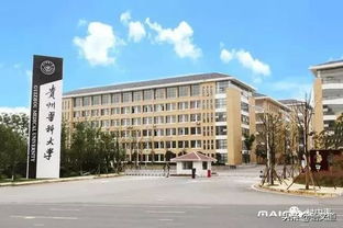 河南最有潜力的二本大学(河南实力最强的二本大学) 河南最有潜力的二本大学(河南实力最强的二本大学)