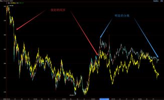 黄金市场的投资机会如何捕捉?