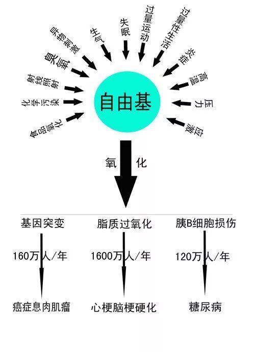 代谢慢的10个征兆:代谢慢的10个征兆,你中招了吗?