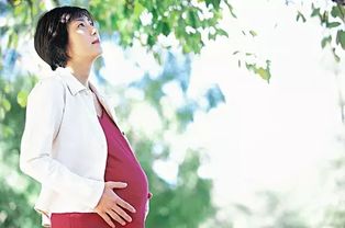 梦见自己和姐妹都怀孕了:梦中的双孕之谜,姐妹同怀,心之所向