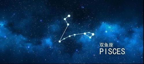 双鱼座每日运势第一星座网:双鱼座今日运势,第一星座网独家解析