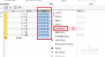 access使用教程:Microsoft Access 使用入门与实战教程,轻松管理您的数据 access使用教程:Microsoft Access 使用入门与实战教程,轻松管理您的数据