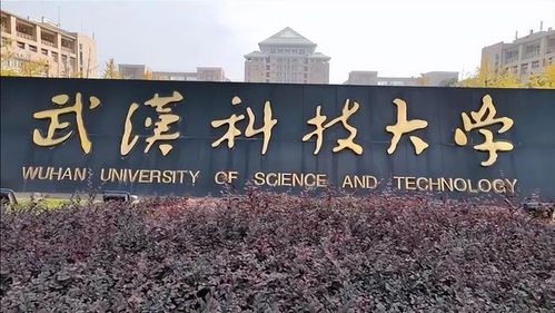 武汉科技大学官网(武汉科技大学官网招生简章) 武汉科技大学官网(武汉科技大学官网招生简章)