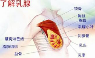 乳腺结节中药散结第一名:中药散结第一名?乳腺结节治疗新选择! 乳腺结节中药散结第一名:中药散结第一名?乳腺结节治疗新选择!