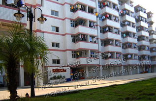 福建理工学校中专(福建理工学校中专地址) 福建理工学校中专(福建理工学校中专地址)