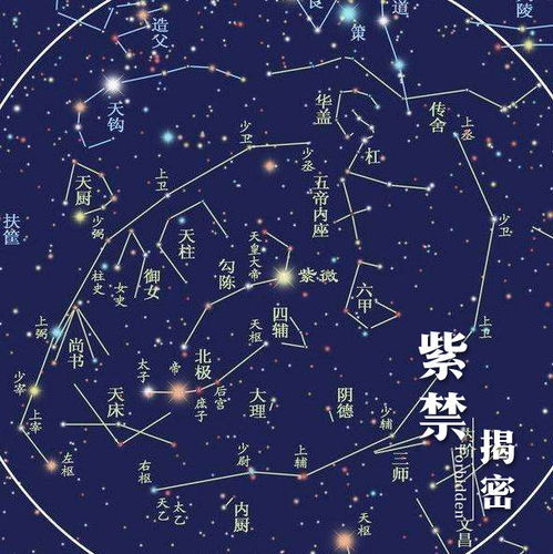 紫薇星座运势网:紫微斗数,洞悉命运轨迹—探索紫薇星座运势网的奥秘 紫薇星座运势网:紫微斗数,洞悉命运轨迹—探索紫薇星座运势网的奥秘