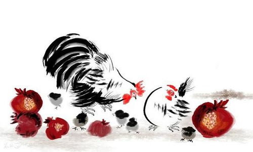 2017年属什么:2017年属鸡,运势密码与传统文化中的吉祥寓意 2017年属什么:2017年属鸡,运势密码与传统文化中的吉祥寓意