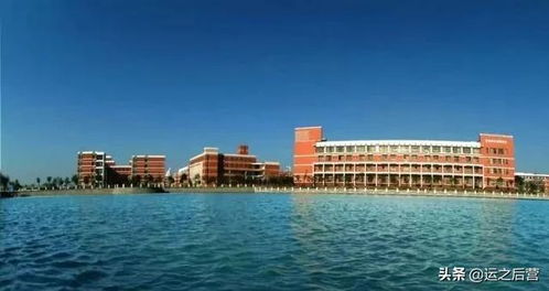 300分左右的公办专科大学(300分左右的公办专科大学有哪些) 300分左右的公办专科大学(300分左右的公办专科大学有哪些)