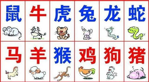 十二生肖配对姻缘兔男:十二生肖配对姻缘,属兔男的幸福指南 十二生肖配对姻缘兔男:十二生肖配对姻缘,属兔男的幸福指南