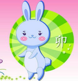 十二生肖配对姻缘兔男:十二生肖配对姻缘,属兔男的幸福指南 十二生肖配对姻缘兔男:十二生肖配对姻缘,属兔男的幸福指南