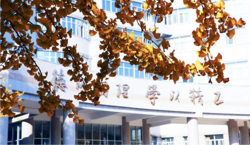 热门专业有哪些专业(热门专业有哪些专业适合女生2025) 热门专业有哪些专业(热门专业有哪些专业适合女生2025)