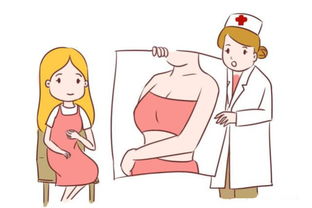 什么时候最容易受孕:什么时候最容易受孕?科学掌握黄金时机,提高备孕成功率 什么时候最容易受孕:什么时候最容易受孕?科学掌握黄金时机,提高备孕成功率