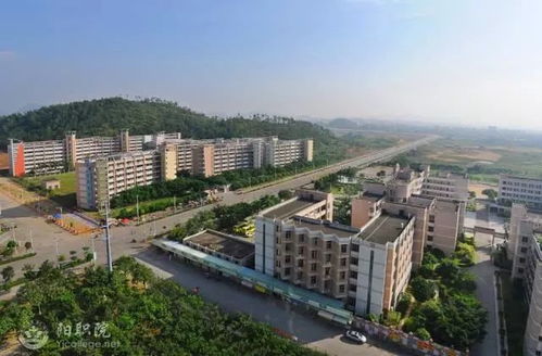 阳江职业技术学院(阳江职业技术学院是公办学校吗) 阳江职业技术学院(阳江职业技术学院是公办学校吗)