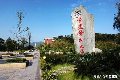 重庆医科大学附属第一医院:西南医疗重镇,学科建设与科研实力并举—重庆医科大学附属第一医院 重庆医科大学附属第一医院:西南医疗重镇,学科建设与科研实力并举—重庆医科大学附属第一医院