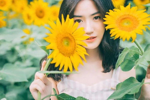 注定跟水瓶纠缠一辈子的星座:注定与水瓶纠缠一辈子的星座,灵魂共鸣的12种羁绊 注定跟水瓶纠缠一辈子的星座:注定与水瓶纠缠一辈子的星座,灵魂共鸣的12种羁绊