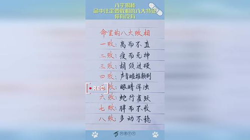 八字看命中注定的配偶免费:八字看命中注定的配偶,免费解析你的缘分密码与人生伴侣的玄机 八字看命中注定的配偶免费:八字看命中注定的配偶,免费解析你的缘分密码与人生伴侣的玄机
