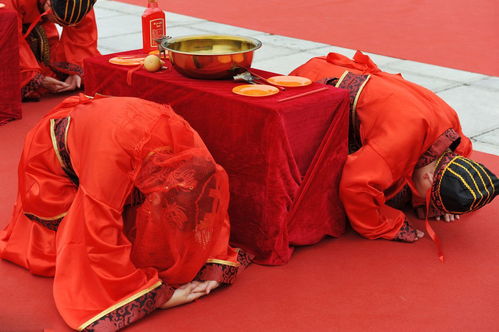 八字看命中注定的配偶免费:八字看命中注定的配偶,免费解析你的缘分密码与人生伴侣的玄机 八字看命中注定的配偶免费:八字看命中注定的配偶,免费解析你的缘分密码与人生伴侣的玄机