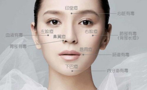 改善脸上痘痘的好方法:告别痘痘困扰,改善脸上痘痘的五大有效方法