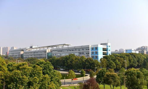 武汉软件工程职业学院(武汉软件工程职业学院教务系统) 武汉软件工程职业学院(武汉软件工程职业学院教务系统)