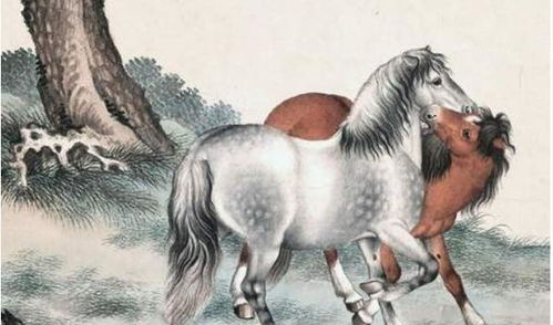 1990年属马的是什么命:1990年属马人命运解析,性格、事业与爱情全解析 1990年属马的是什么命:1990年属马人命运解析,性格、事业与爱情全解析