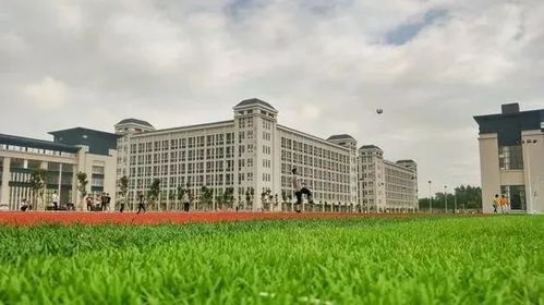 塔罗牌测对象塔罗牌测试:塔罗牌测对象,探索爱情的神秘指引