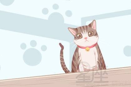 女人梦见三只猫好不好:女人梦见三只猫,预示着什么?吉凶如何?