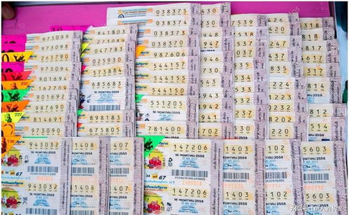 梦见棺材买彩票买什么号码:解密梦境与彩票的神秘关联,梦见棺材,买彩票该选什么号码?