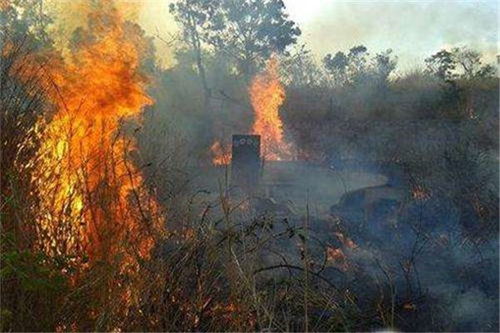 “周公解梦大全”周公解梦大全,揭开梦境背后的神秘密码