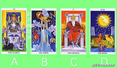 塔罗牌冈布奥塔罗牌:塔罗牌与冈布奥,神秘力量的交汇