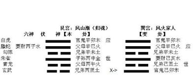 屯卦和复卦问姻缘:解密易经中的姻缘密码,屯卦与复卦告诉你何时该守,何时该动