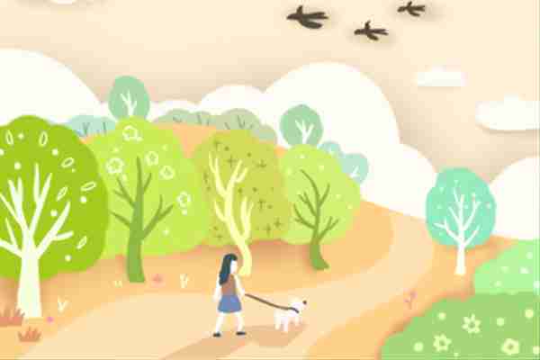 手相怎么看图解：手相图解入门指南，三步学会看掌纹与线纹