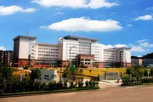 武汉理工大学(武汉理工大学教务系统)