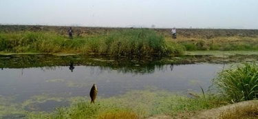 六神丸为什么不建议吃:慎用六神丸,这些原因你一定要知道!