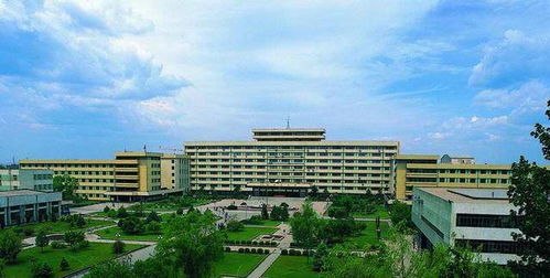 沈阳农业大学考研难度(沈阳农业大学考研率高吗)