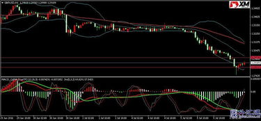 捷克央行料维持鹰派立场 ING称克朗汇率支撑犹存