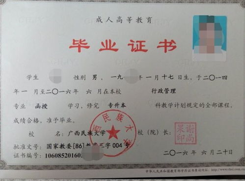 成考(成考本科)