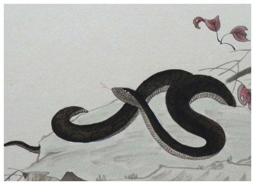 属蛇人下个月要天塌了:属蛇人紧急预警!下个月将迎天塌之劫,事业破财健康危,这3件事决定生死局 属蛇人下个月要天塌了:属蛇人紧急预警!下个月将迎天塌之劫,事业破财健康危,这3件事决定生死局