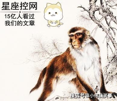 1982年属什么命:1982年出生属狗人命运解析,性格特质与人生机遇全指南