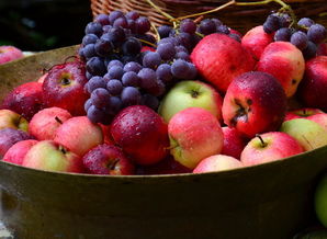月经期可以吃什么水果:月经期这样吃水果,身体更舒适! 月经期可以吃什么水果:月经期这样吃水果,身体更舒适!
